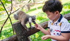 Vinpearl Discovery Wonderworld Phu Quoc