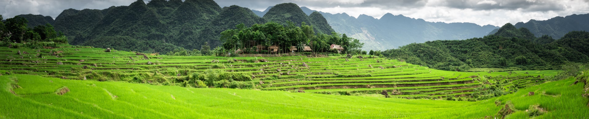 6 Best Things We Love About Avana Retreat