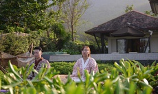 Banyan Tree Lang Co