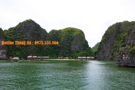 Nam Cat Island Resort - CatbaBay