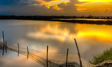 5 Best things We Love About Alba Wellness Resort By Fusion