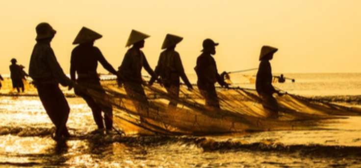 Thanh Hoa