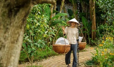 Tam Coc Garden Resort