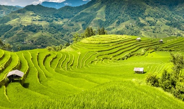 10 Best Things To Do In Sapa