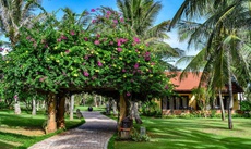 Pandanus Resort