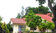 Vietstar Resort & Spa