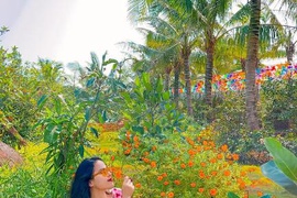 Gold Coast Hotel Resort & Spa