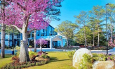 Terracotta Hotel & Resort Dalat