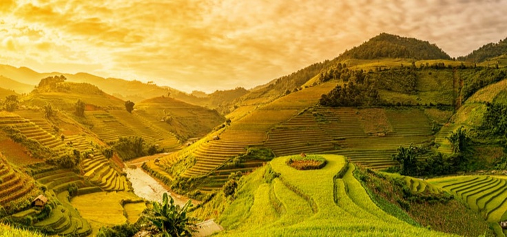 Sapa