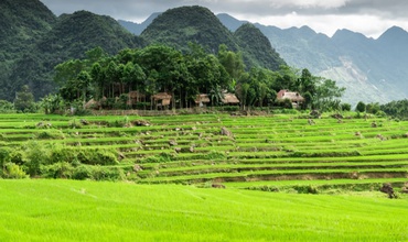 6 Best Things We Love About Avana Retreat