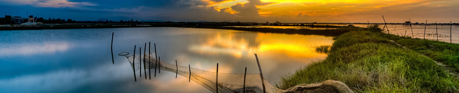 5 Best things We Love About Alba Wellness Resort By Fusion